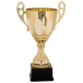 Gold Metal Cup Trophy